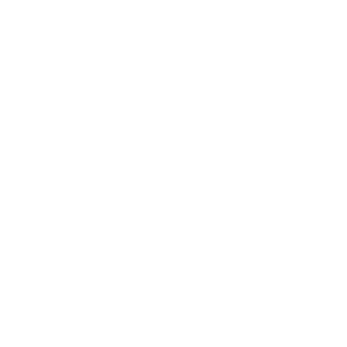 Het Nieuwsblad Logo